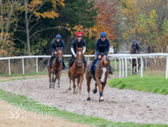 BP011124-63 - Ben Pauling Stable Visit